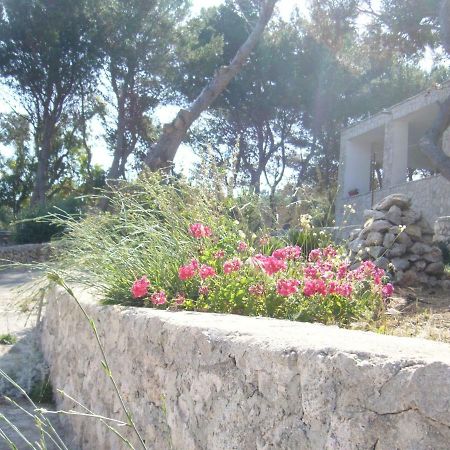 Villa Aquarium Gagliano del Capo Bagian luar foto