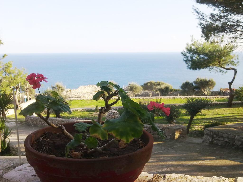 Villa Aquarium Gagliano del Capo Bagian luar foto