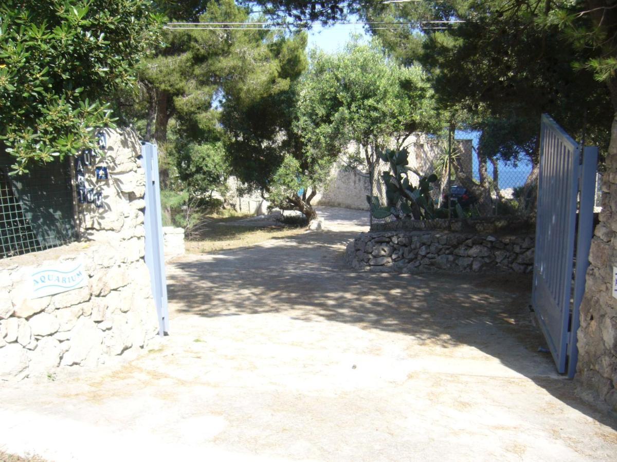 Villa Aquarium Gagliano del Capo Bagian luar foto